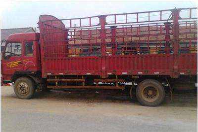 惠陽至金門17米平板車出租，專業(yè)貨物運輸解決方案